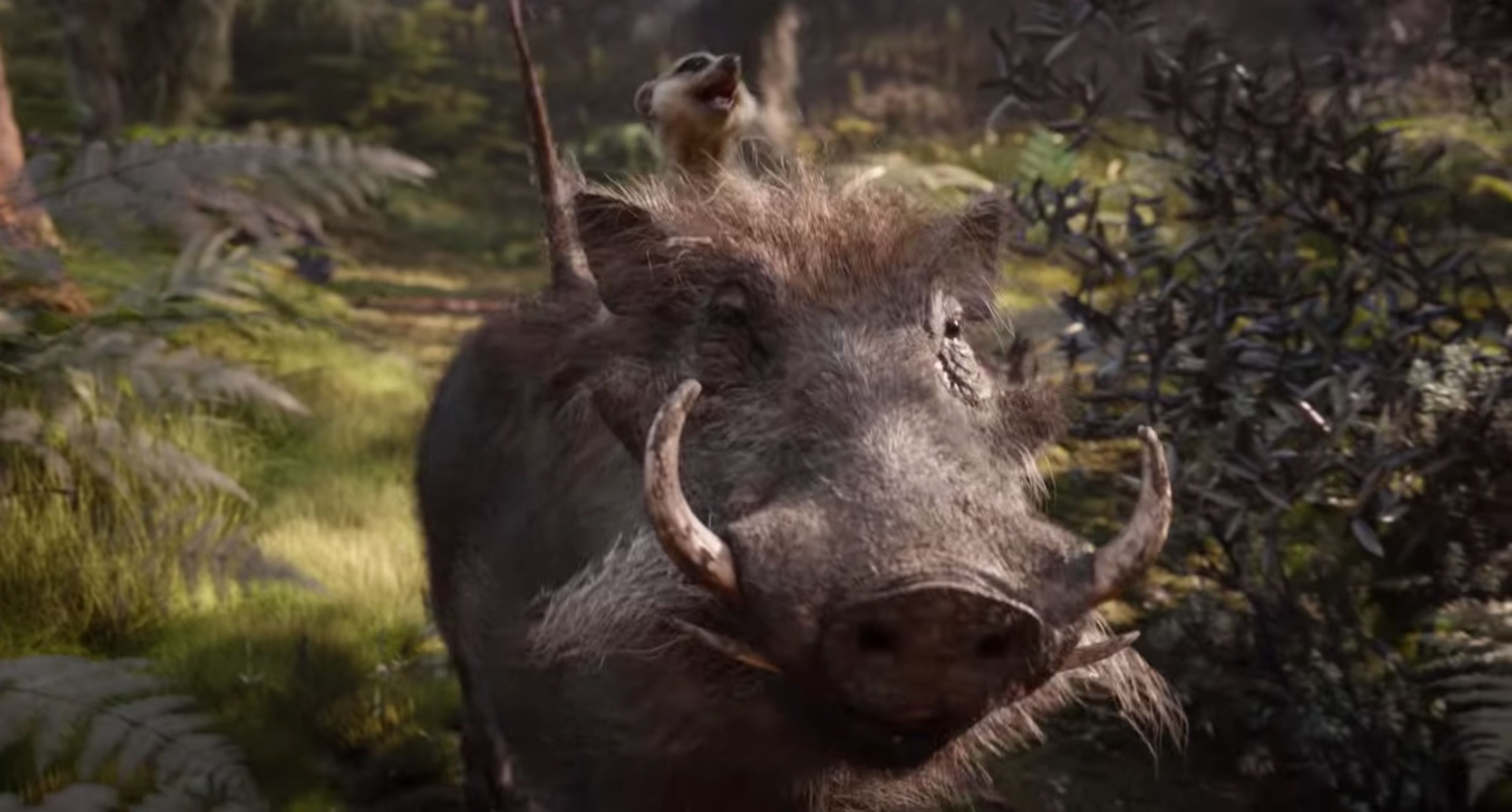 El Rey Leon Pumba En Version Live Action Esta Dandole Pesadillas